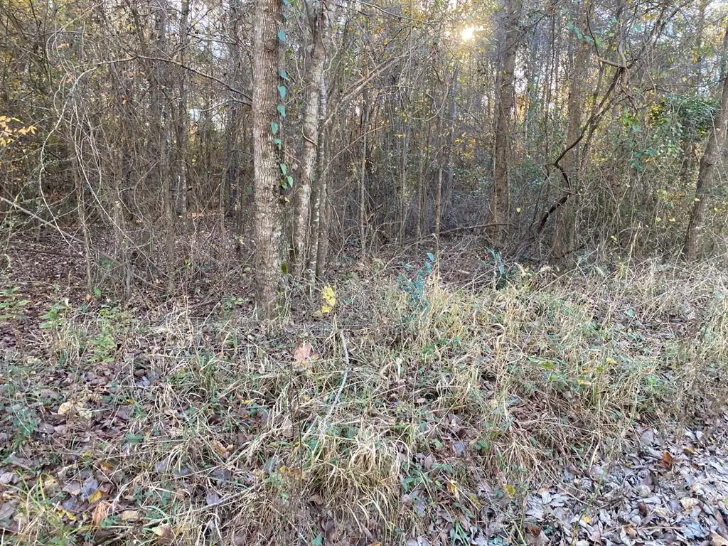 248 Cottonwood, Huntington, TX 75949 - Image #1