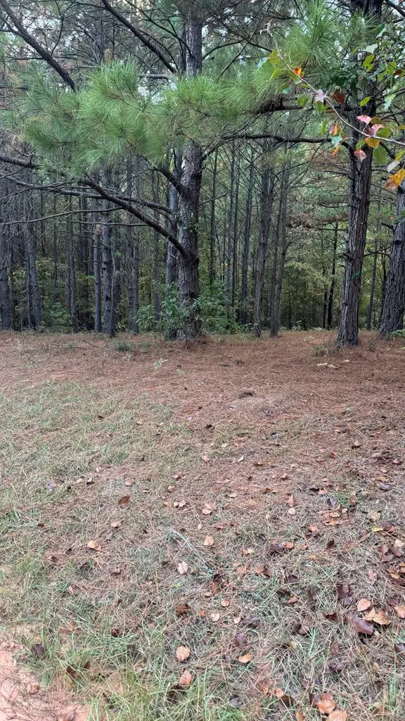 220 Kennon Drive, Hemphill, TX 75948