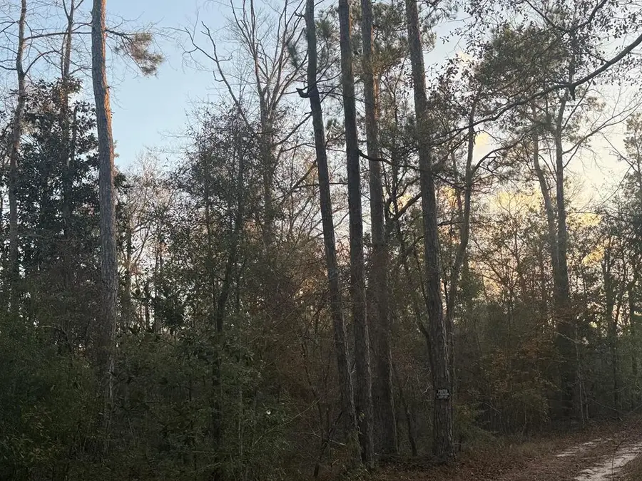 500 Pr 8170, Kirbyville, TX 75956 - Image #3