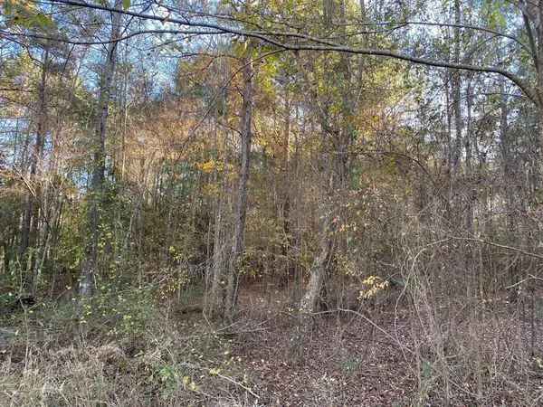 R47121 Maplewood, Huntington, TX 75949