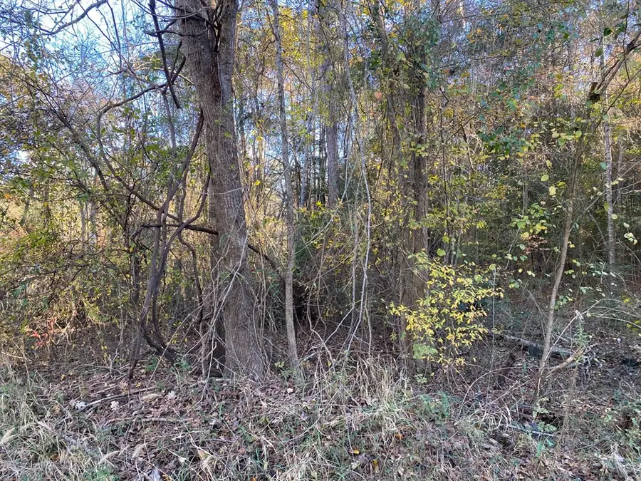 R47121 Maplewood, Huntington, TX 75949 - Image #3