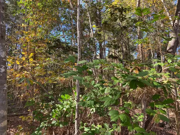 R47122 Maplewood, Huntington, TX 75949