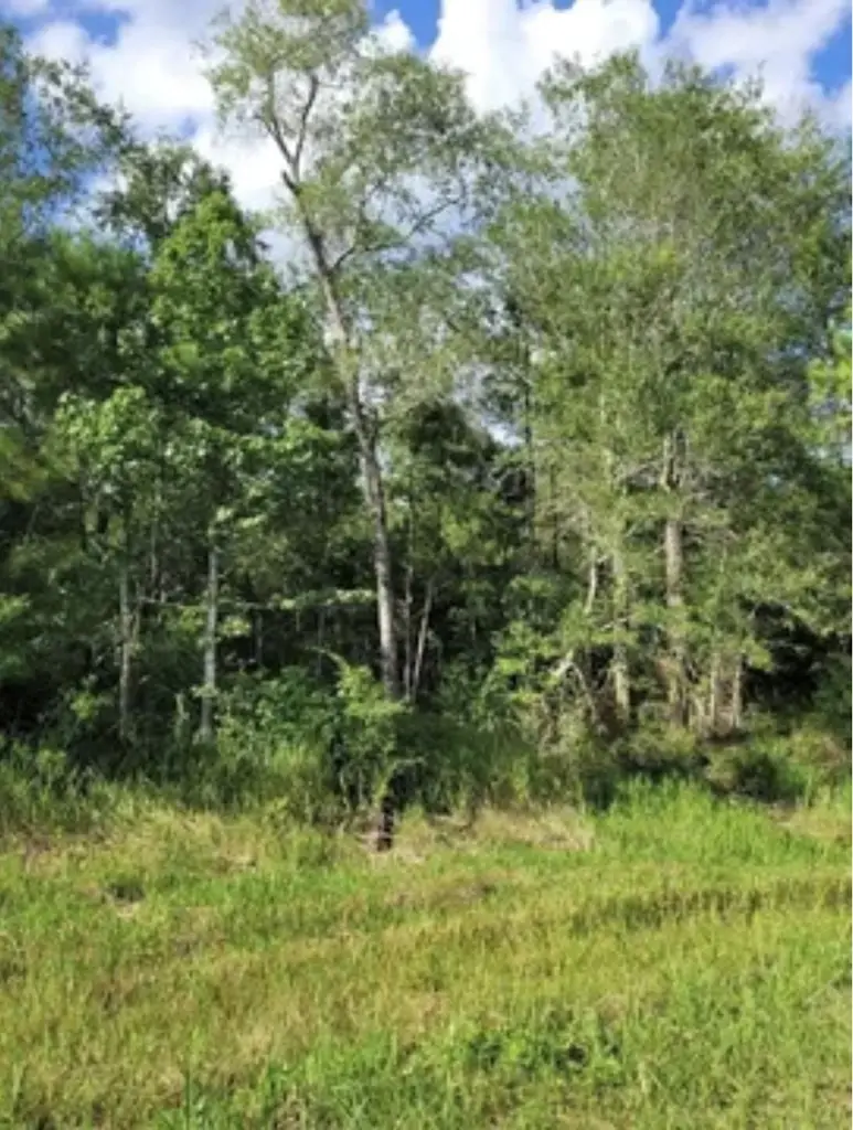 3135 Fm 2246, Buna, TX 77612 - #2