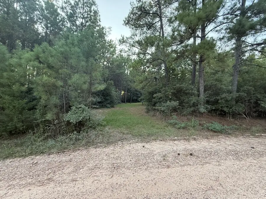 Lot 20 Clint Rd, Moscow, TX 75960 - Image #3