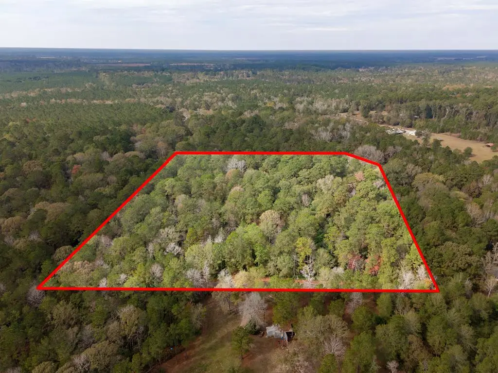 L18 John Keely Road, Zavalla, TX 75980 - Image #1