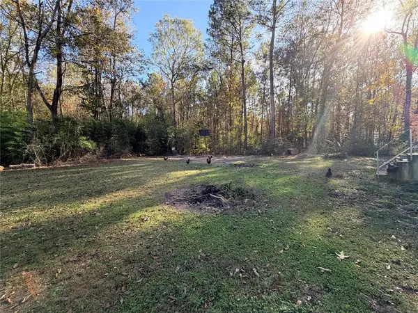 265 County Road 3380, Colmesneil, TX 75938