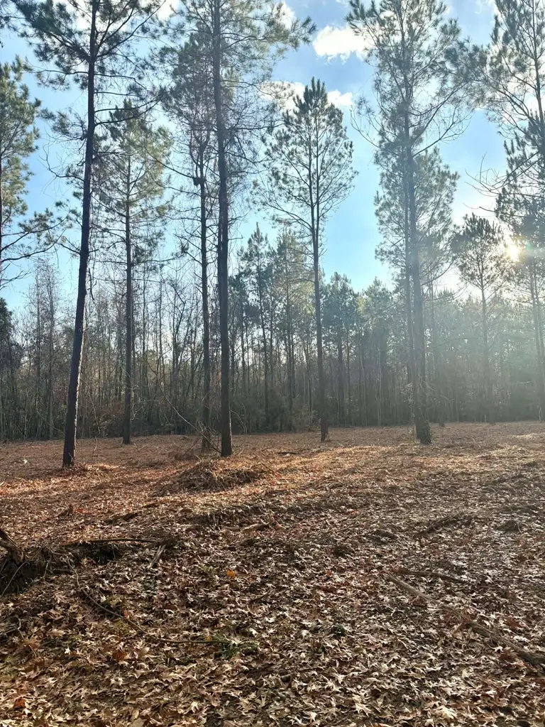 TBD Cr 3182, Joaquin, TX 75954 - #2