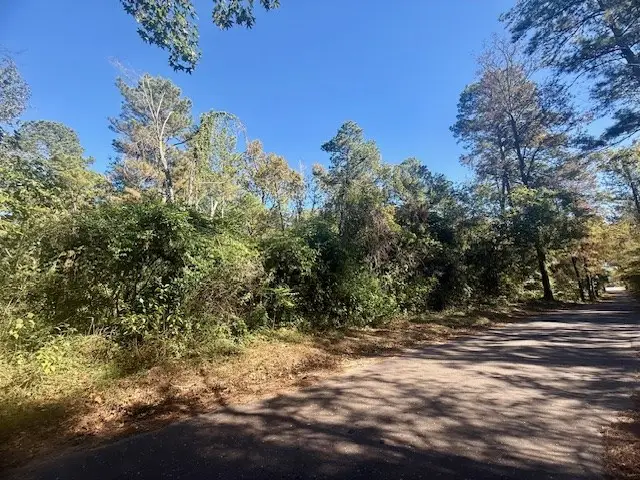 53546 Cr 087, Jasper, TX 75951 - #3