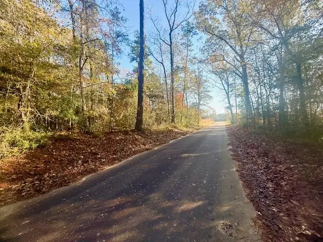 14494/53546 County Road 087, Jasper, TX 75951 - #1