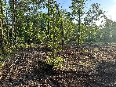 1100 Pr 8012, Broaddus, TX 75929