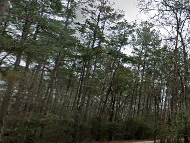 PID #36355 County Road 828, Vidor, TX 77662 - Image #1