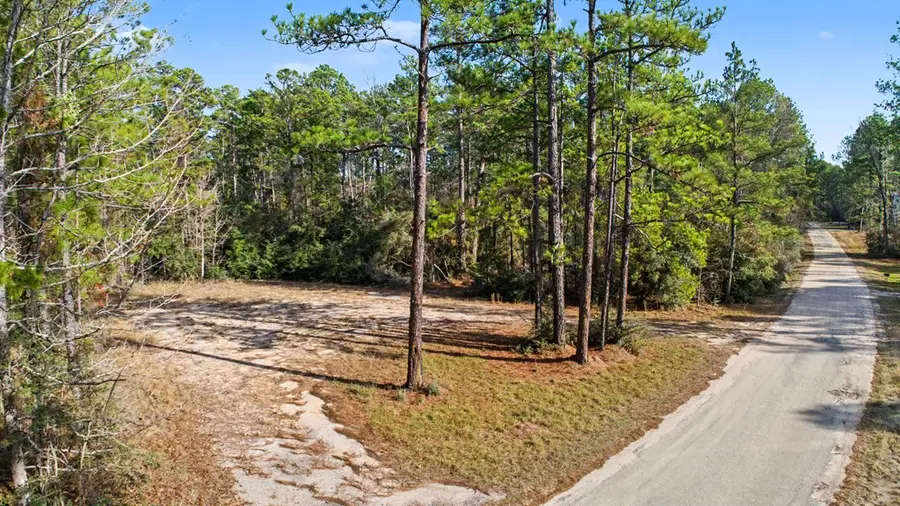 60 Sago Court, Brookeland, TX 75931 - Image #2