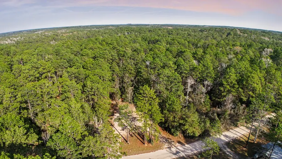 60 Sago Court, Brookeland, TX 75931 - Image #3