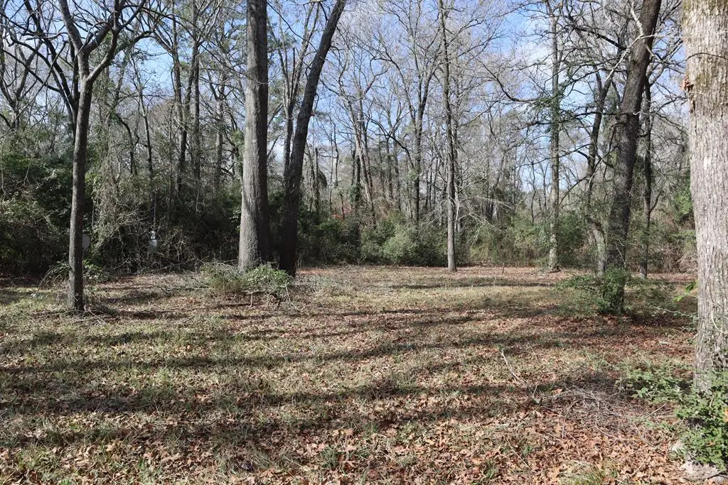 Lot #3 Fm 706s, Lufkin, TX 75902 - #1