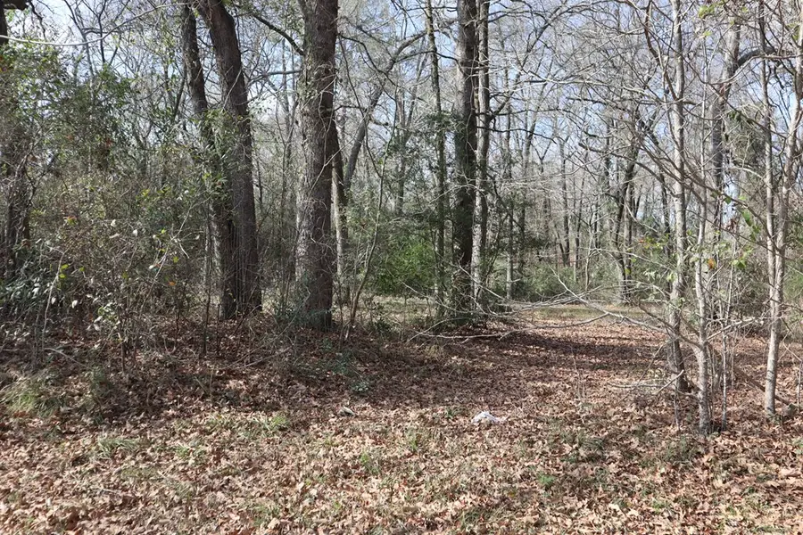 Lot #3 Fm 706s, Lufkin, TX 75902 - #3