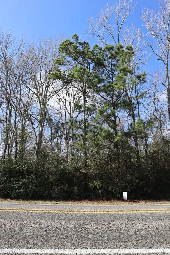 TBD Lot #1 Fm 706s, Lufkin, TX 75902 - Image #1