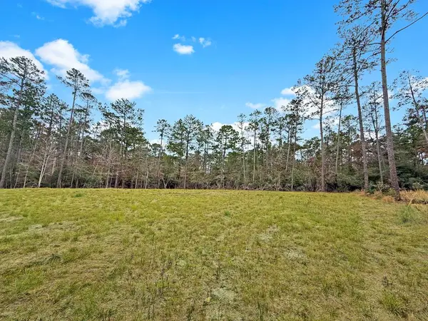 252 Amblewood Drive, Brookeland, TX 75931