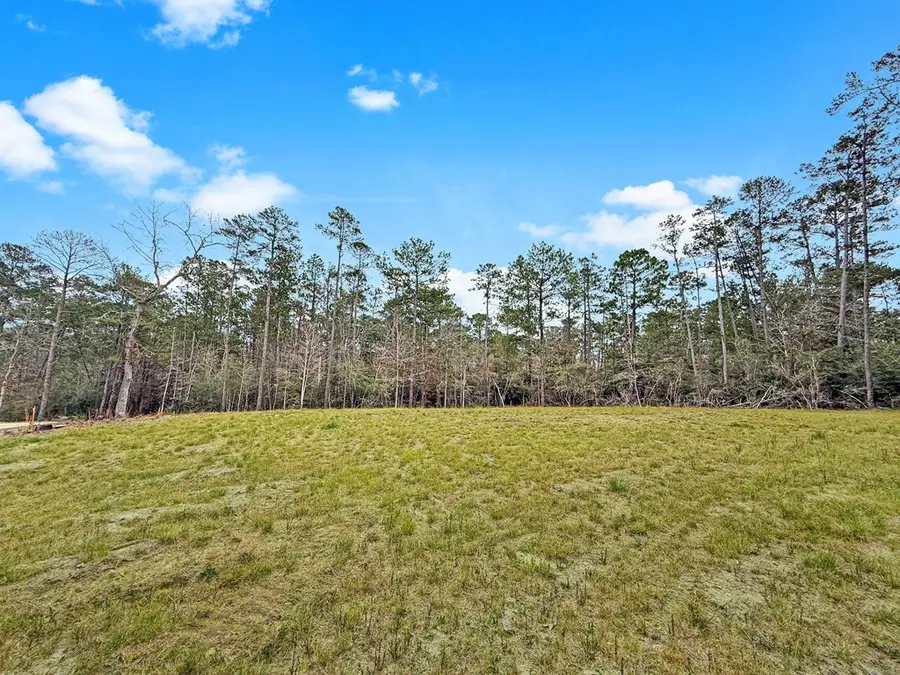 252 Amblewood Drive, Brookeland, TX 75931 - Image #3