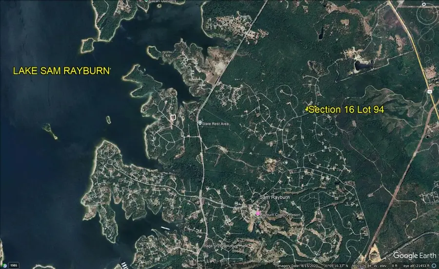 141 Deodar Dr, Brookeland, TX 75931 - Image #3