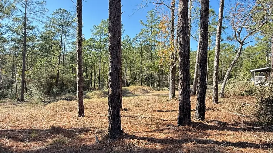 R031928 Inglewood Drive, Brookeland, TX 75931 - Image #2