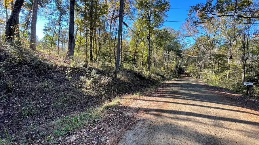 6032866 River Oaks Drive, Hemphill, TX 75948 - Image #3