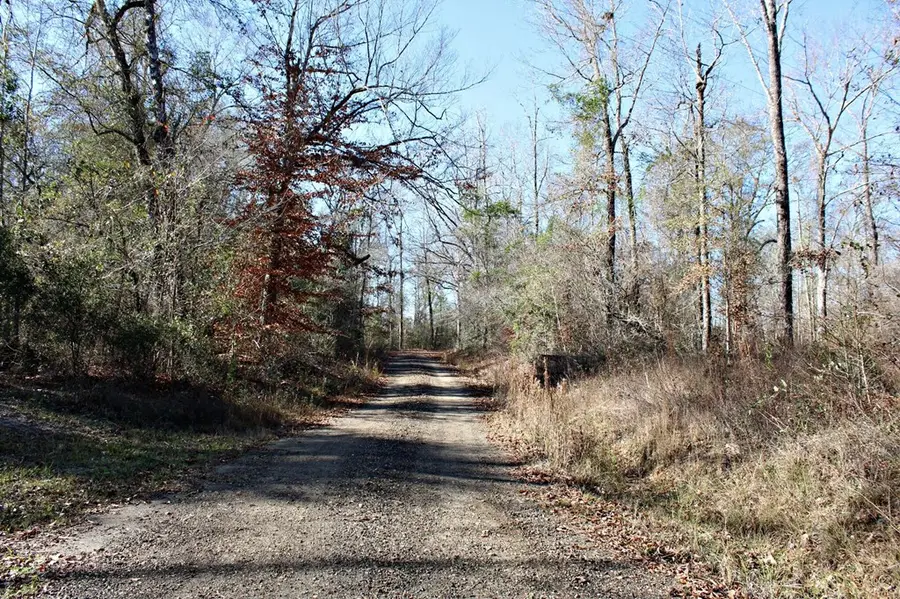 228 County Road 1060, Wiergate, TX 75977 - Image #3