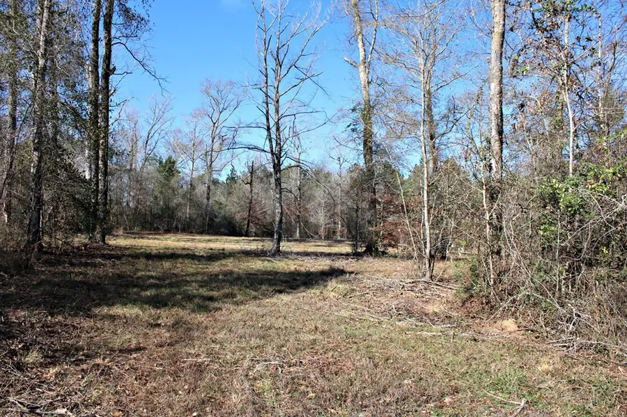 112679 County Road 1058, Wiergate, TX 75977 - Image #3