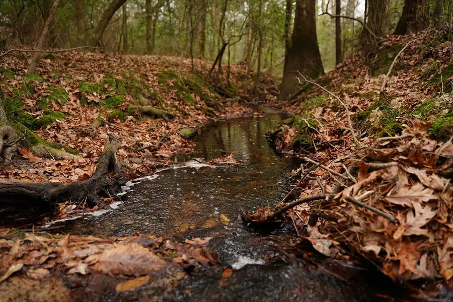 TBD Fm 418, Kountze, TX 77625 - #2