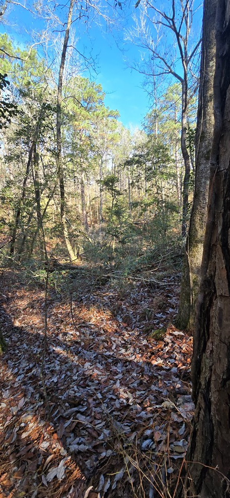 PIDN 35944 Fairway, Jasper, TX 75951 - Image #3