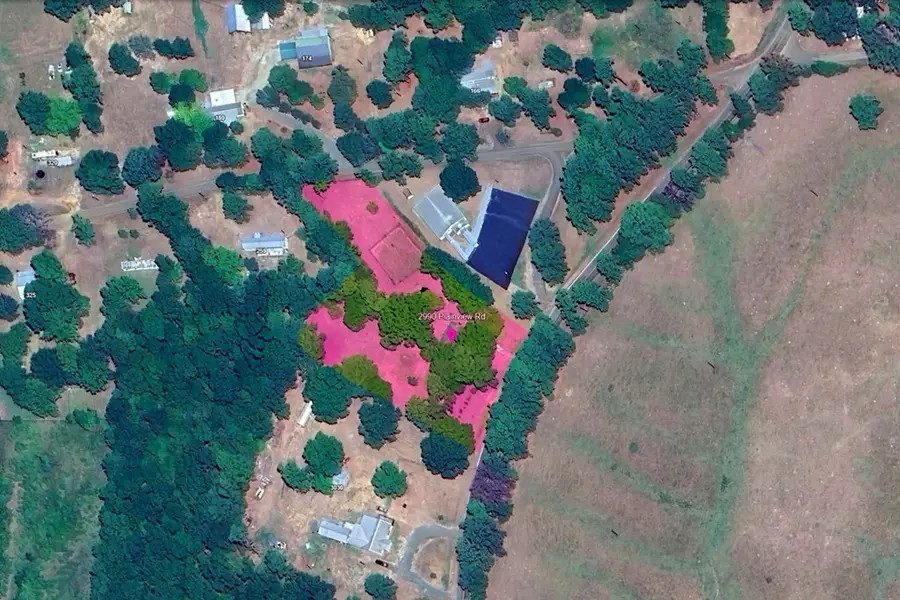 2990 Plainview Road, Pineland, TX 75968 - #2