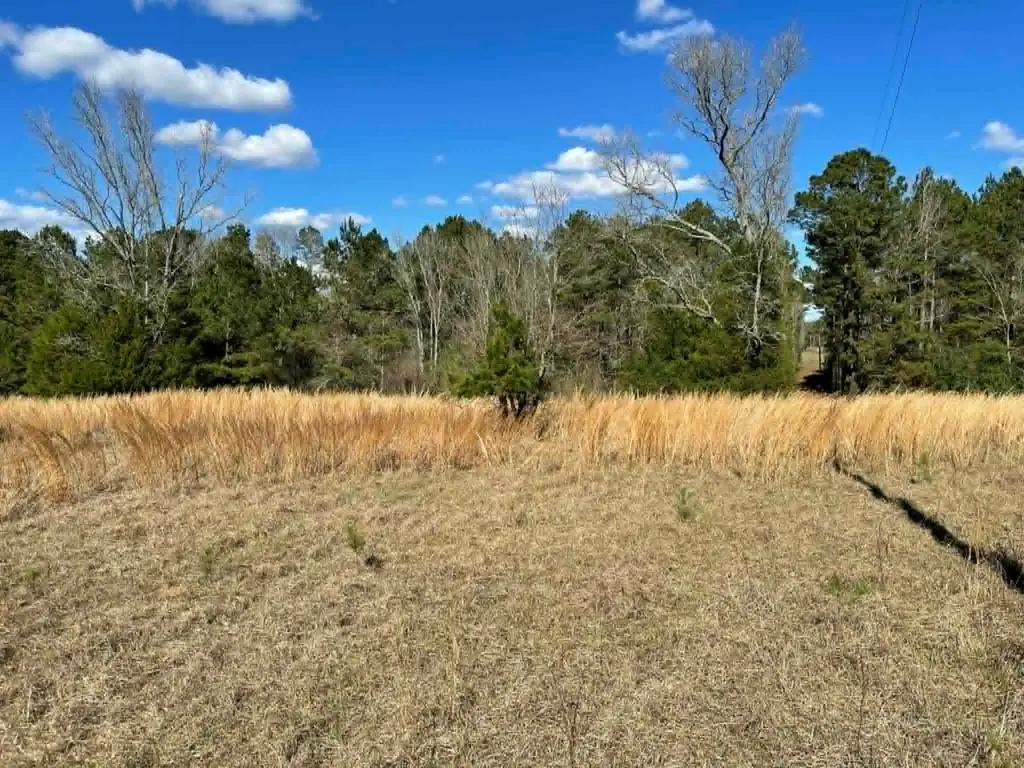 763 Cr 3564, Tenaha, TX 75974 - Image #1