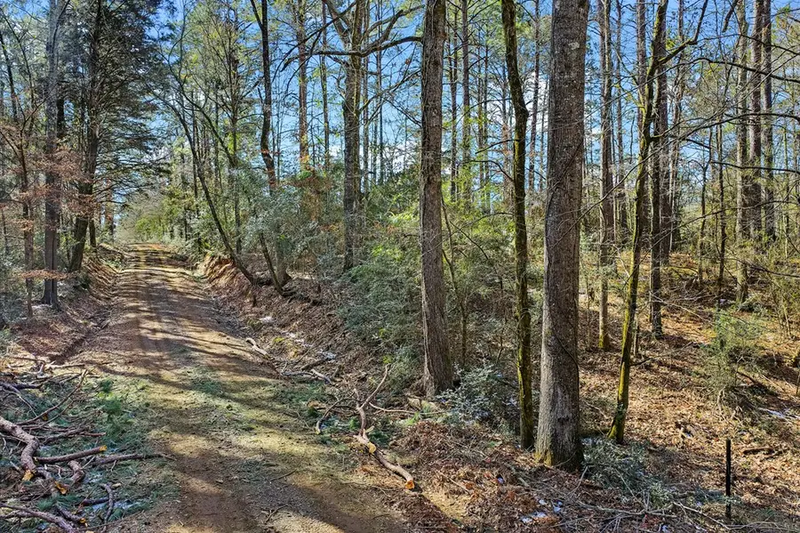 763 Cr 3564, Tenaha, TX 75974 - #2