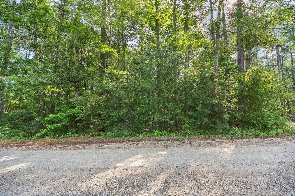 81 Bluebird Lane, Brookeland, TX 75931 - Image #1