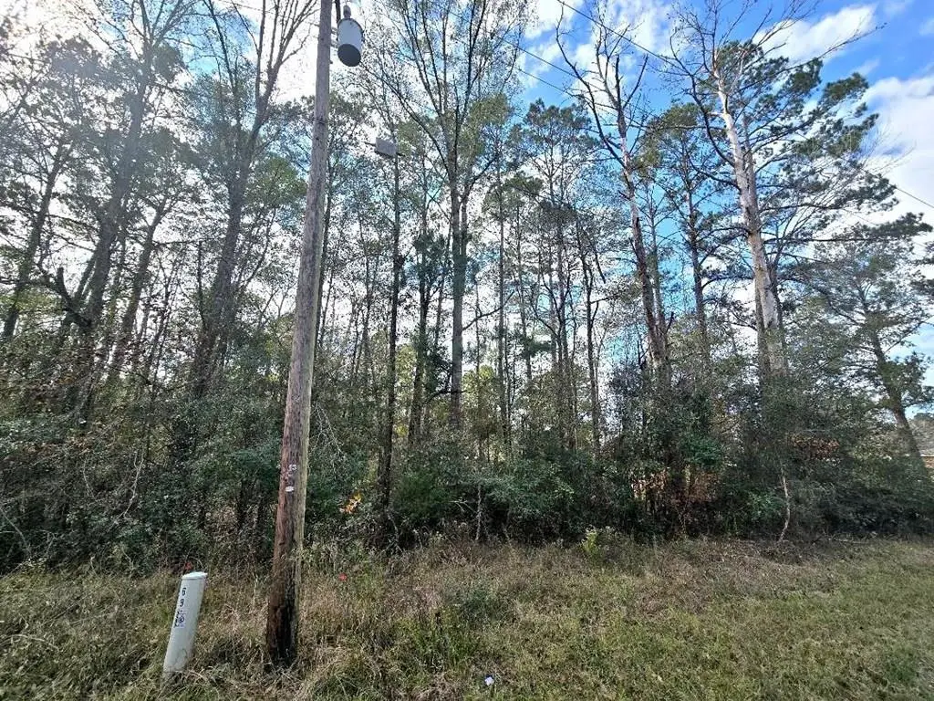 pid 1181 Bevil Loop, Jasper, TX 75951 - Image #1