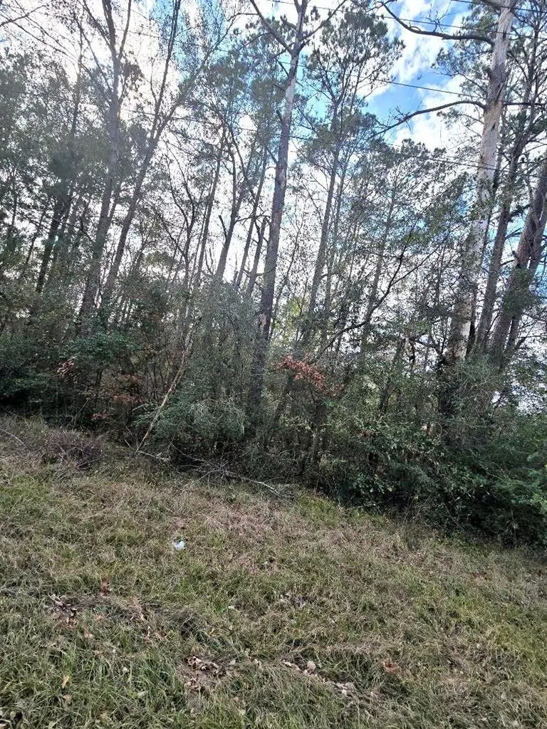 pid 1181 Bevil Loop, Jasper, TX 75951 - Image #2