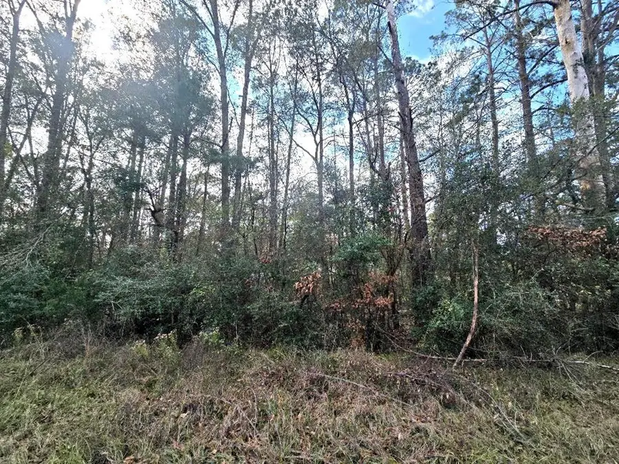 pid 1181 Bevil Loop, Jasper, TX 75951 - Image #3