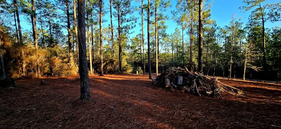 PIND 34619 Sycamore Drive, Brookeland, TX 75931 - Image #2