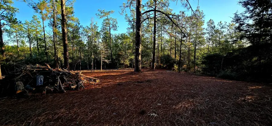 PIND 34619 Sycamore Drive, Brookeland, TX 75931 - Image #3