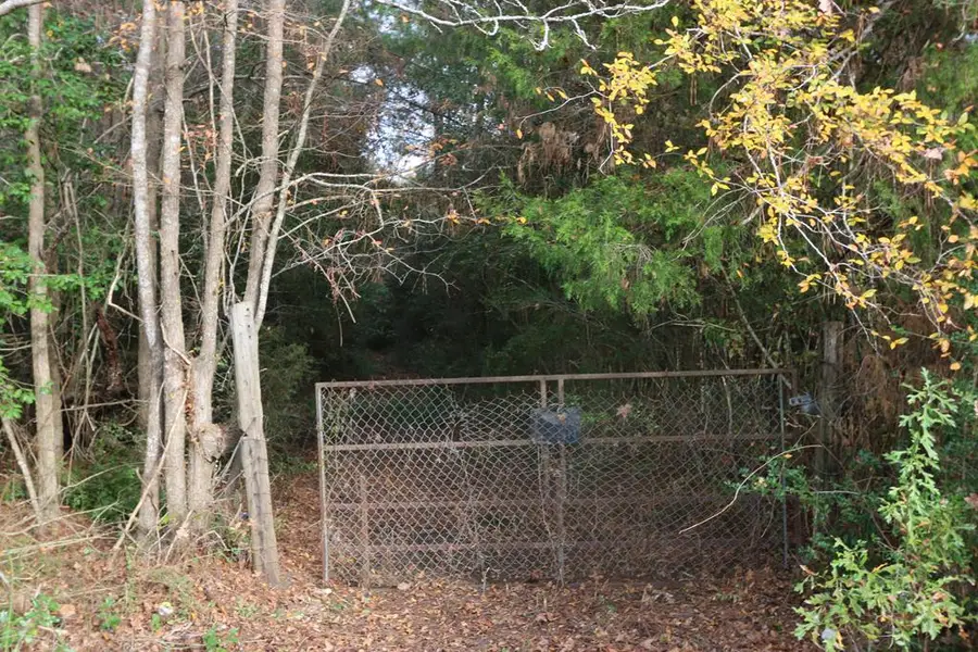 15121 Highway 87 N, Call, TX 75933 - #2