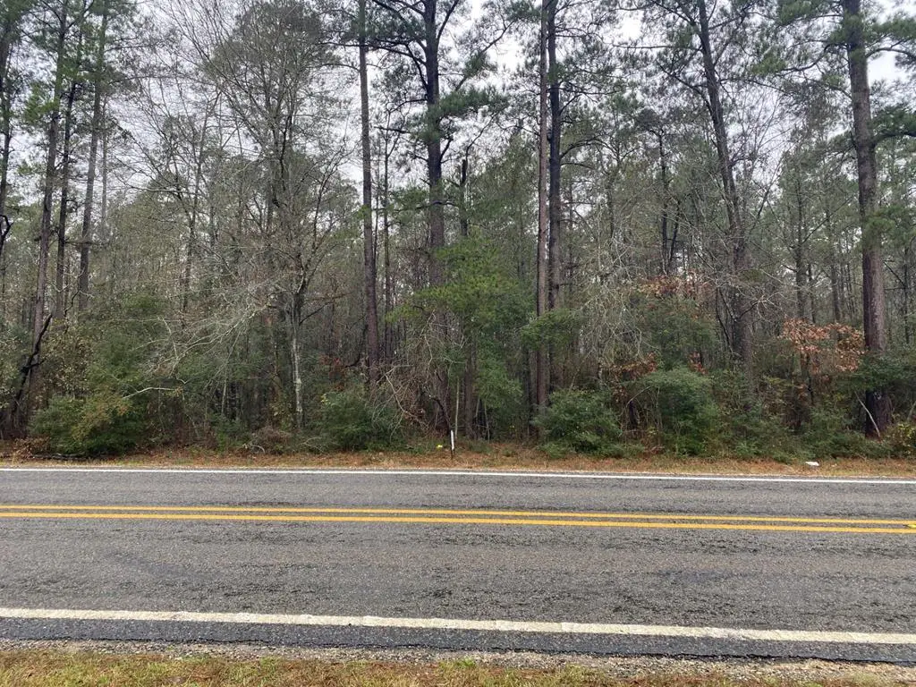 TBD Fm 2497, Diboll, TX 75941 - Image #1