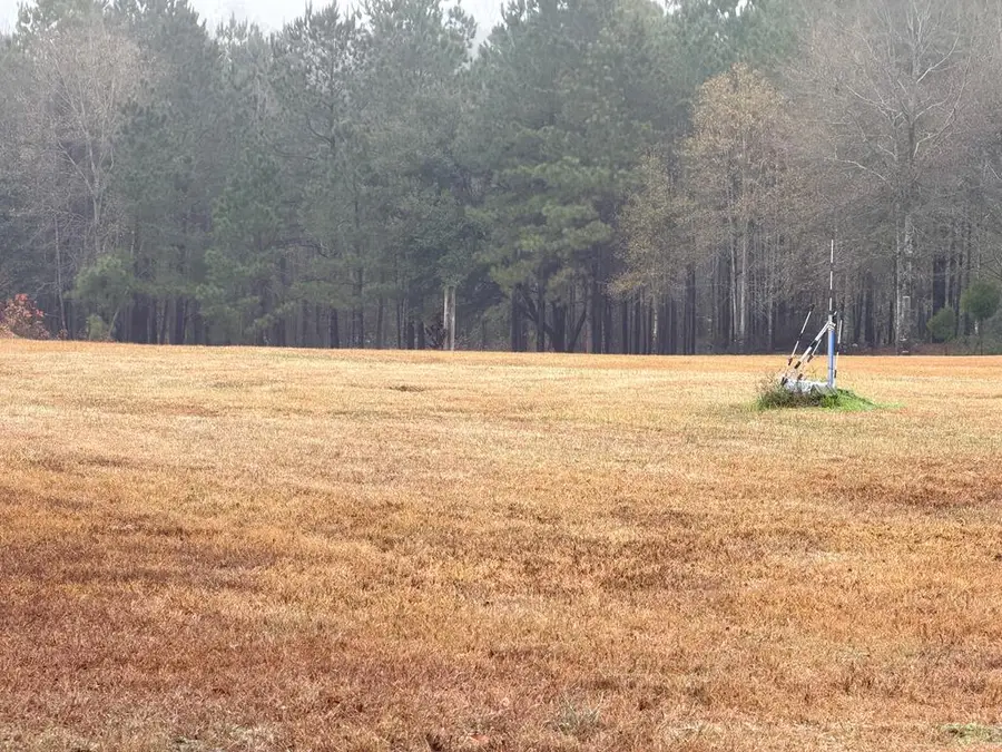 1053 E Main Street, Zavalla, TX 75980 - Image #3