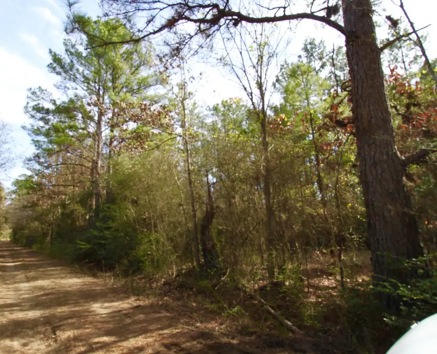 00 Jape Massingill Lane, Diboll, TX 75941 - Image #2