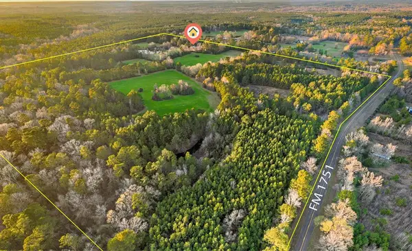 393 County Road 4220, Bronson, TX 75930