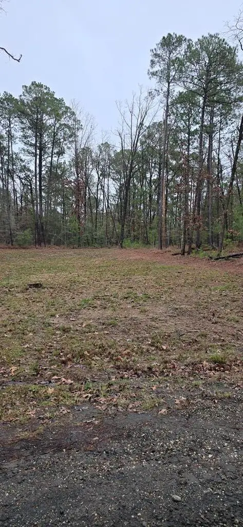 PIDN 34923 Twigwood Dr, Brookeland, TX 75931