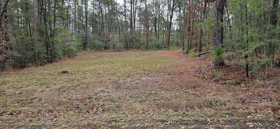 PIDN 34923 Twigwood Dr, Brookeland, TX 75931 - Image #2