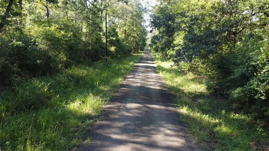 359 (2) Mallard, Hemphill, TX 75948 - #3