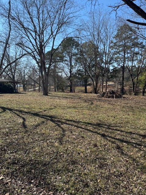 640 Pecan Estates Loop, Hemphill, TX 75948 - #2