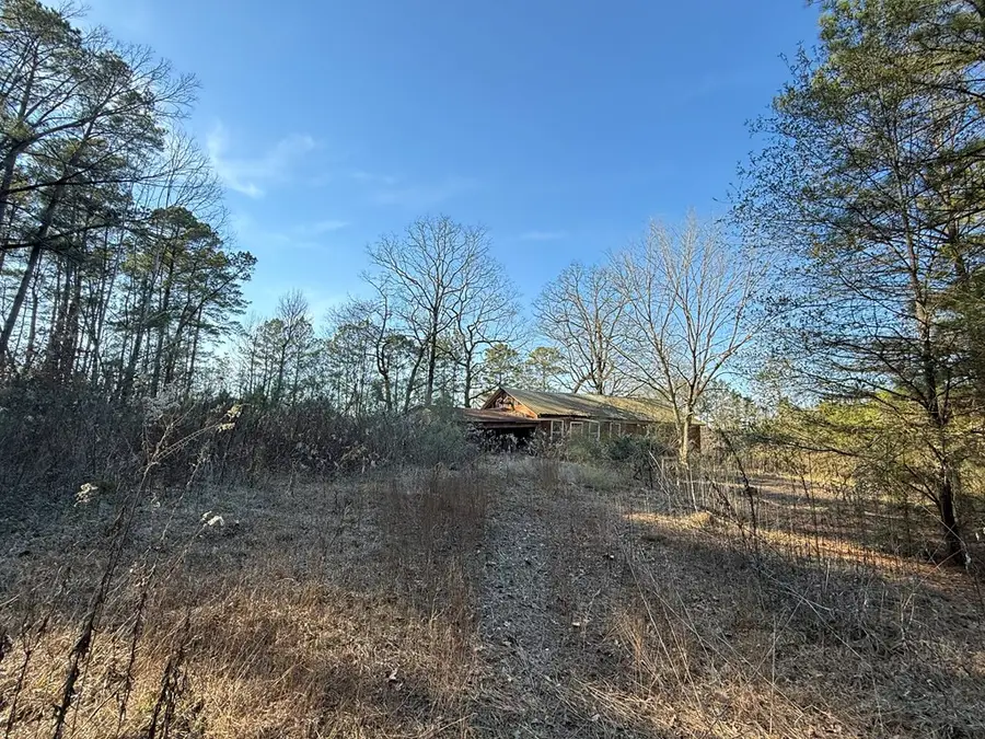 548 County Divide Road, Bronson, TX 75930 - #2