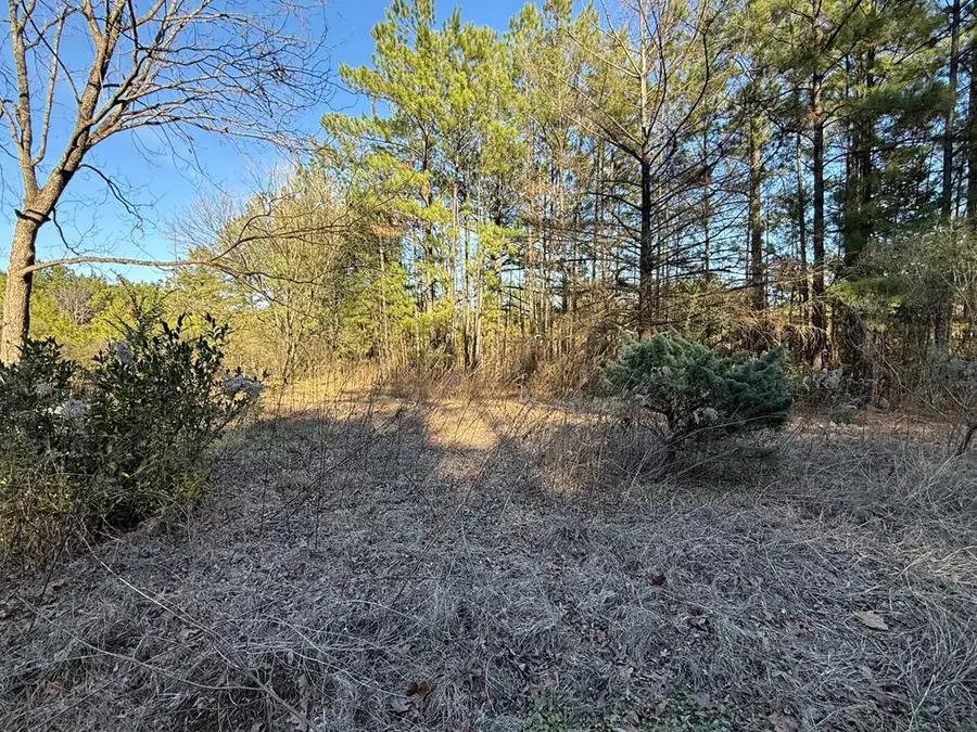 548 County Divide Road, Bronson, TX 75930 - #3