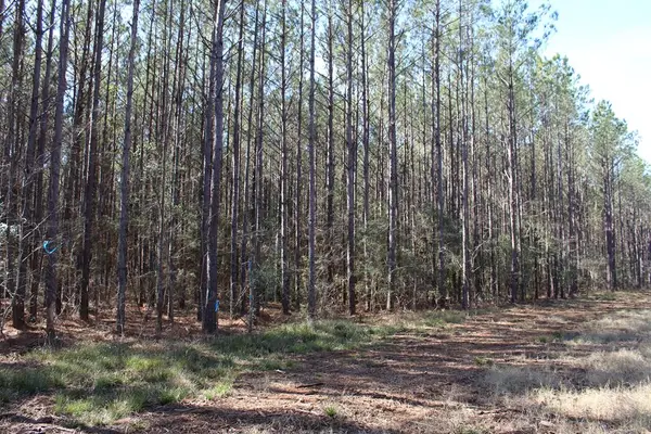 R18754 Fm 1751, San Augustine, TX 75972